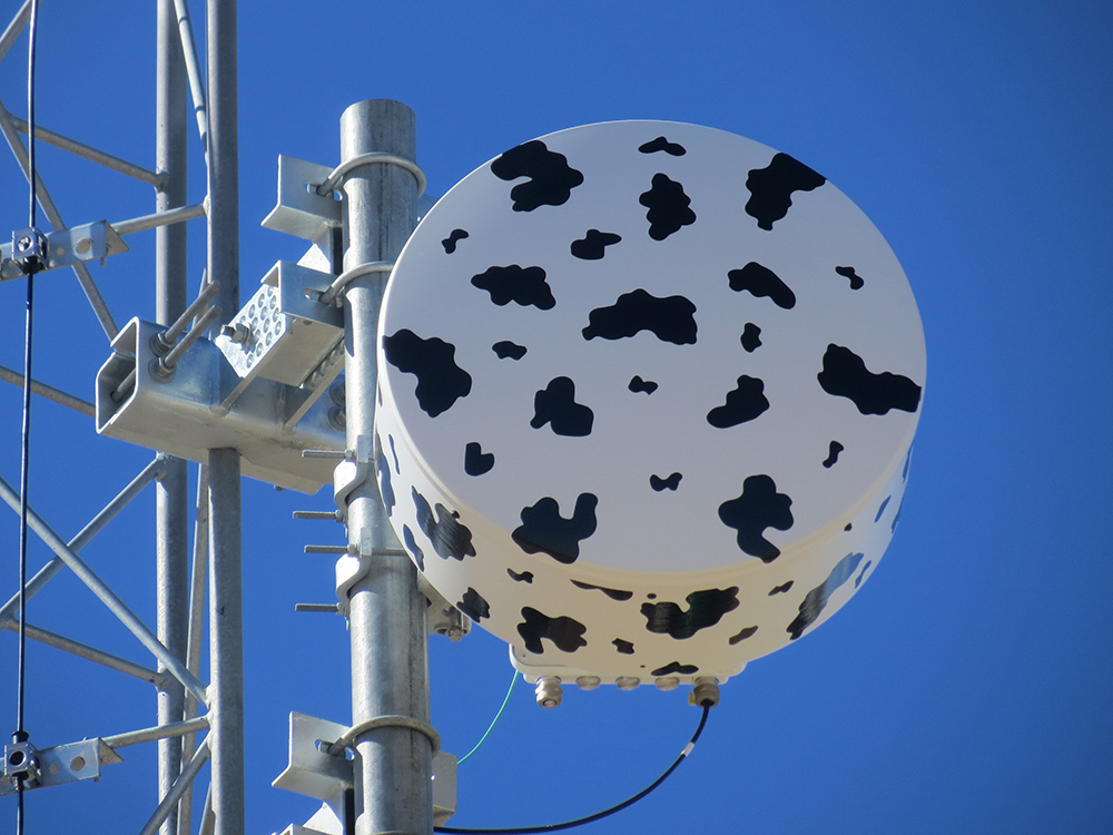 Microwave communications to track cows